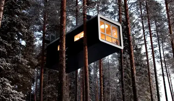 Treehotel's room The Cabin