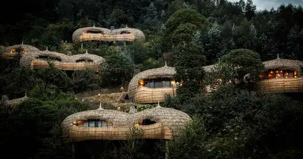 Wilderness Bisate Lodge luxury rainforest accommodations